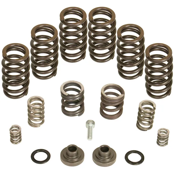 BD Power 4000 RPM Governor Spring Kit | 1040185