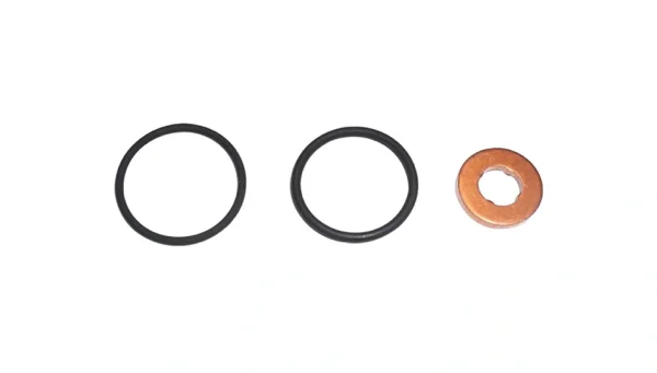 Fuel Systems Gaskets & Seals